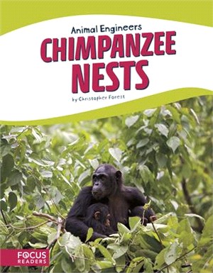 Chimpanzee Nests