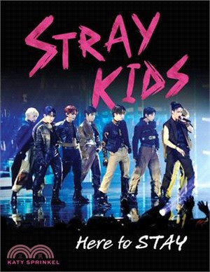 Stray Kids: Here to Stay
