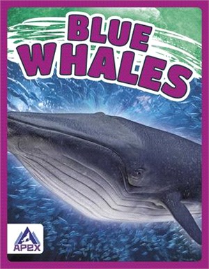 Blue Whales