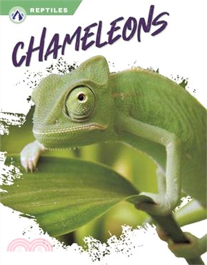 Chameleons