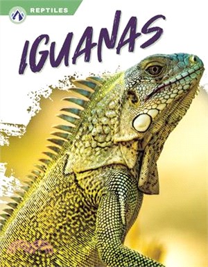 Iguanas