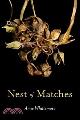 Nest of Matches