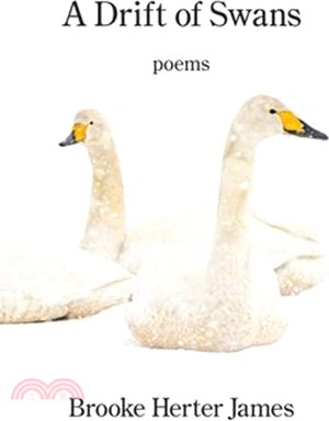 A Drift of Swans