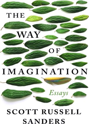 The Way of Imagination：Essays