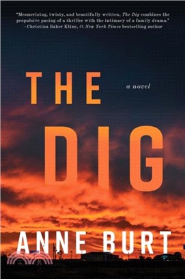 The Dig：A Novel