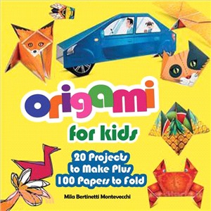 Origami for Kids ― 20 Projects to Make Plus 100 Papers to Fold
