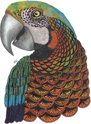 Tangleeasy Parrot Journal ― Lined