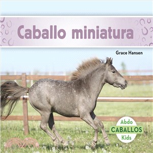 Caballo Miniatura/iniature Horses