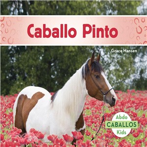 Caballo Pinto/ American Paint Horses