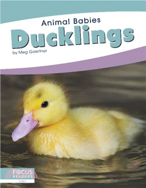 Animal Babies: Ducklings