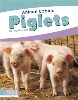 Animal Babies: Piglets