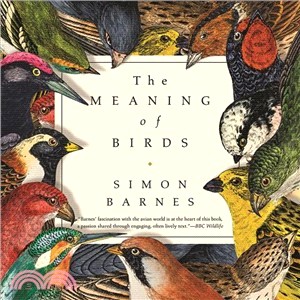 The Meaning of Birds