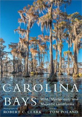 Carolina Bays ― Wild, Mysterious, and Majestic Landforms