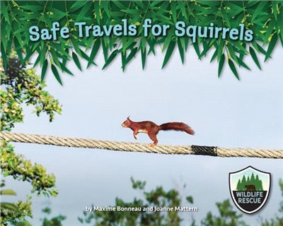 Safe Travels for Squirrels