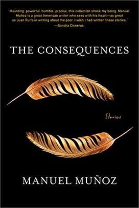 The Consequences: Stories