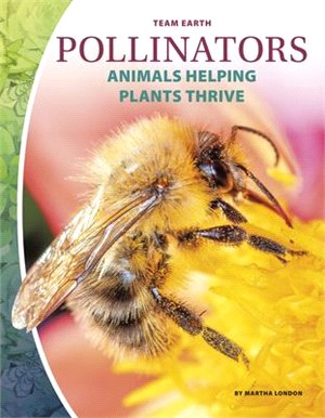 Pollinators ― Animals Helping Plants Thrive