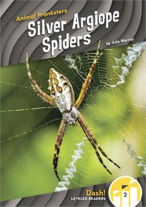 Silver Argiope Spiders