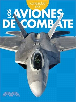 Curiosidad Por Los Aviones de Combate