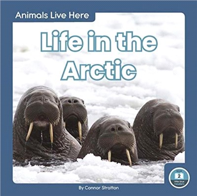 Animals Live Here: Life in the Arctic