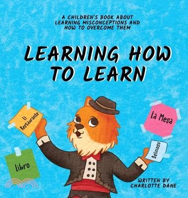 Learning How to Learn: A Children's Book About Learning Misconceptions and How to Overcome Them