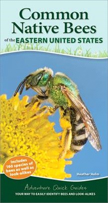 Common Native Bees of the Eastern United States: Your Way to Easily Identify Bees and Look-Alikes