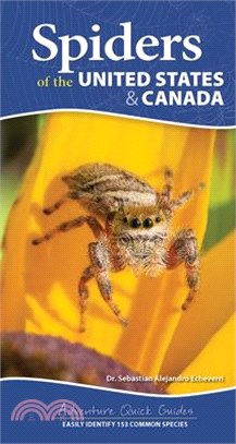 Spiders of the United States & Canada: Easily Identify 153 Common Species