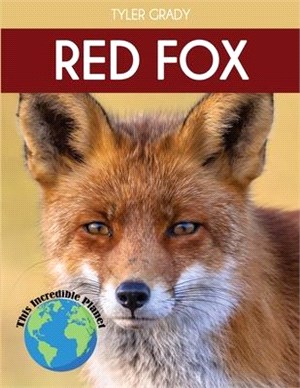 Red Fox: Fascinating Animal Facts for Kids