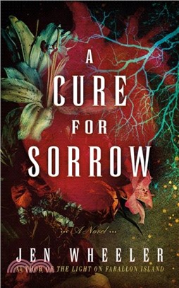 A Cure for Sorrow：A Novel