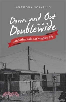 Down and out in a Doublewide and Other Tales of Modern Life