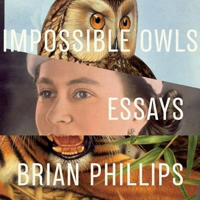 Impossible Owls Lib/E: Essays