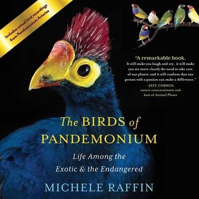 The Birds of Pandemonium Lib/E: Life Among the Exotic and the Endangered