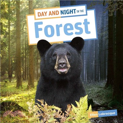 Day and night in the forest /