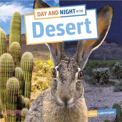 Day and night in the desert ...