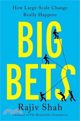 Big Bets: How Large-Scale Change Really Happens