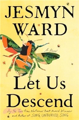 Let Us Descend：A Novel