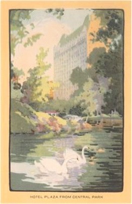 Vintage Journal Hotel Plaza from Central Park