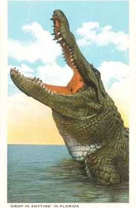 Vintage Journal Drop in Any Time, Alligator, Florida