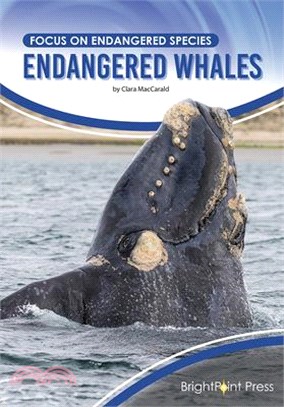 Endangered Whales