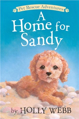 A Home for Sandy