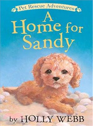 A Home for Sandy