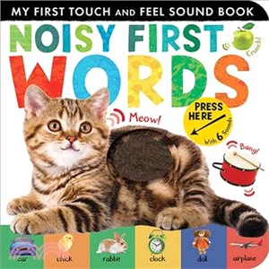 Noisy First Words ― My First Touch and Feel Sound Book