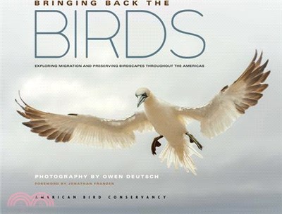 Bringing Back the Birds: Exploring Migration and Preserving Birdscapes Throughout the Americas
