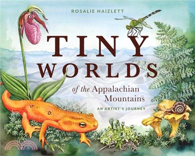 Tiny Worlds of the Appalachian Mountains: An Artist's Journey