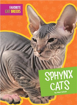 Sphynx Cats