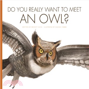 Do you really want to meet an owl? /