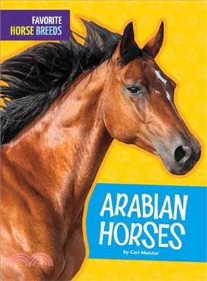 Arabian Horses