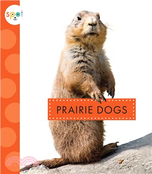 Prairie Dogs