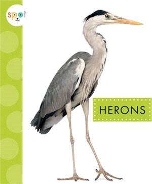 Herons