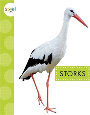 Storks