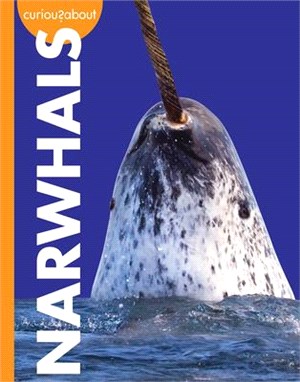 Curious about Narwhals